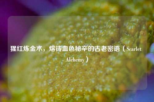 猩红炼金术,熔铸血色秘辛的古老密语(Scarlet Alchemy)