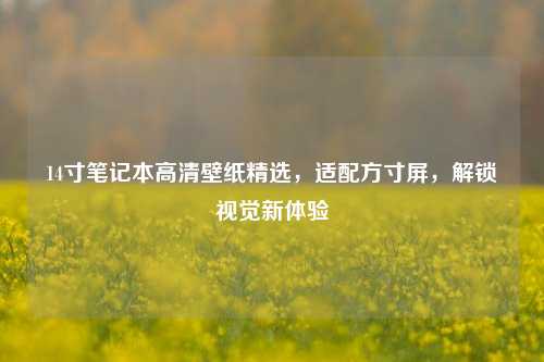 14寸笔记本高清壁纸精选，适配方寸屏，解锁视觉新体验