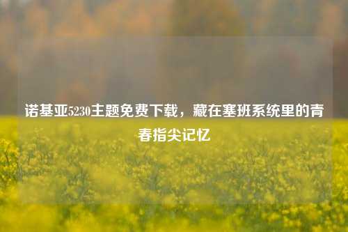 诺基亚5230主题免费下载，藏在塞班系统里的青春指尖记忆