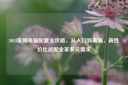 2024家用电脑配置全攻略，从入门到高端，高性价比适配全家多元需求