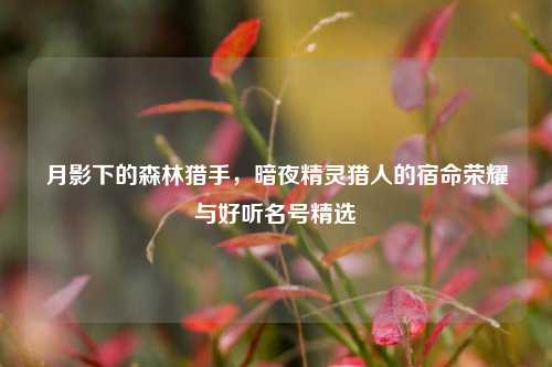 月影下的森林猎手，暗夜精灵猎人的宿命荣耀与好听名号精选