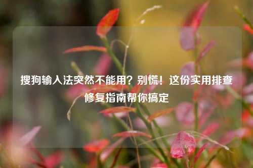 搜狗输入法突然不能用？别慌！这份实用排查修复指南帮你搞定