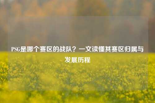 PSG是哪个赛区的战队？一文读懂其赛区归属与发展历程
