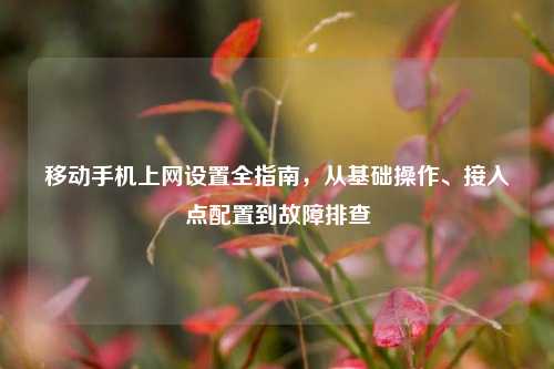 移动手机上网设置全指南，从基础操作、接入点配置到故障排查