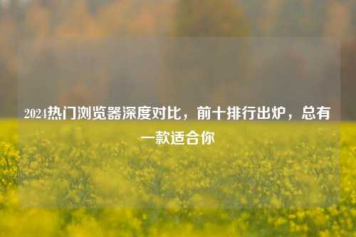 2024热门浏览器深度对比，前十排行出炉，总有一款适合你