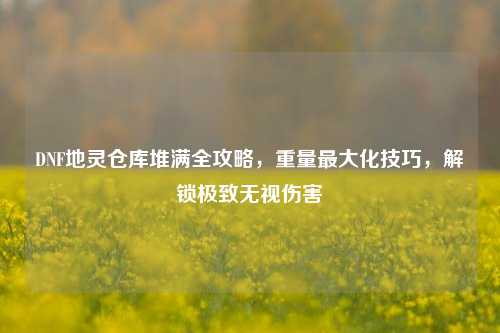 DNF地灵仓库堆满全攻略,重量最大化技巧,解锁极致无视伤害