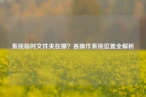 系统临时文件夹在哪？各操作系统位置全解析