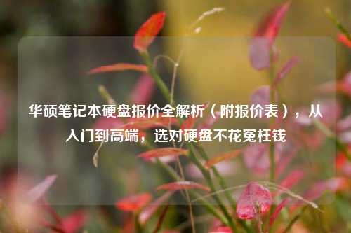 华硕笔记本硬盘报价全解析（附报价表），从入门到高端，选对硬盘不花冤枉钱
