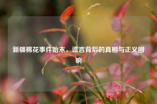 新疆棉花事件始末，谎言背后的真相与正义回响