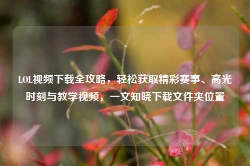 LOL视频下载全攻略，轻松获取精彩赛事、高光时刻与教学视频，一文知晓下载文件夹位置