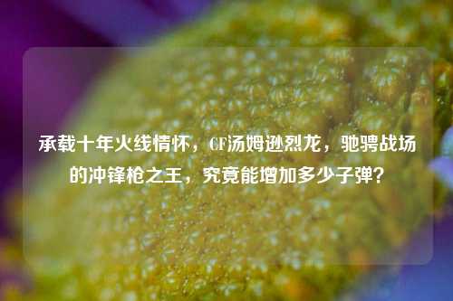 承载十年火线情怀,CF汤姆逊烈龙,驰骋战场的冲锋枪之王,究竟能增加多少子弹?