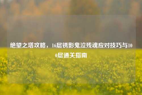 绝望之塔攻略，16层锈影鬼泣残魂应对技巧与100层通关指南