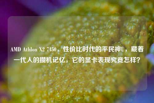 AMD Athlon X2 7450，性价比时代的平民神U，藏着一代人的攒机记忆，它的显卡表现究竟怎样？