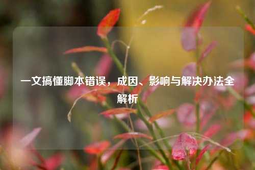 一文搞懂脚本错误，成因、影响与解决办法全解析