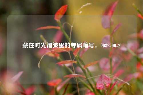 藏在时光褶皱里的专属暗号,9082-00-2