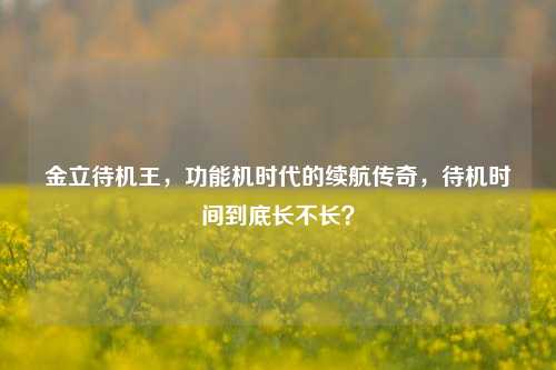 金立待机王,功能机时代的续航传奇,待机时间到底长不长?