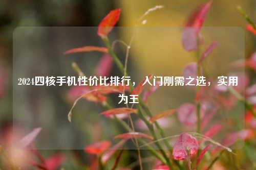 2024四核手机性价比排行，入门刚需之选，实用为王
