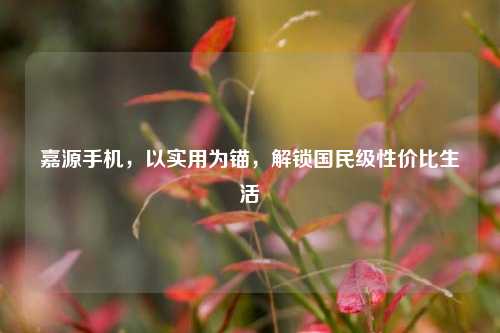 嘉源手机，以实用为锚，解锁国民级性价比生活