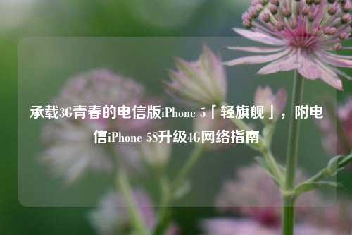 承载3G青春的电信版iPhone 5「轻旗舰」，附电信iPhone 5S升级4G网络指南
