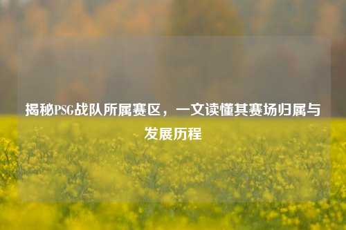 揭秘PSG战队所属赛区，一文读懂其赛场归属与发展历程