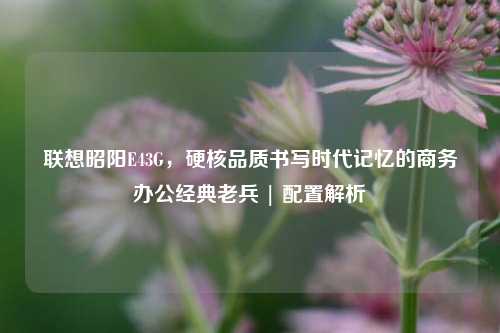联想昭阳E43G，硬核品质书写时代记忆的商务办公经典老兵 | 配置解析