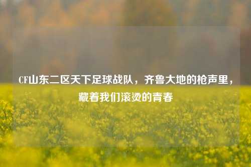 CF山东二区天下足球战队，齐鲁大地的枪声里，藏着我们滚烫的青春