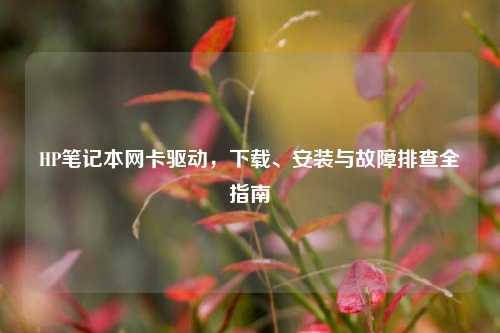 HP笔记本网卡驱动，下载、安装与故障排查全指南