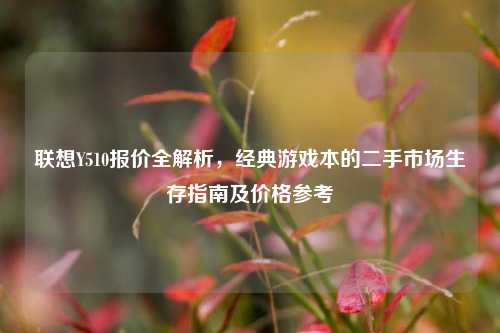 联想Y510报价全解析，经典游戏本的二手市场生存指南及价格参考