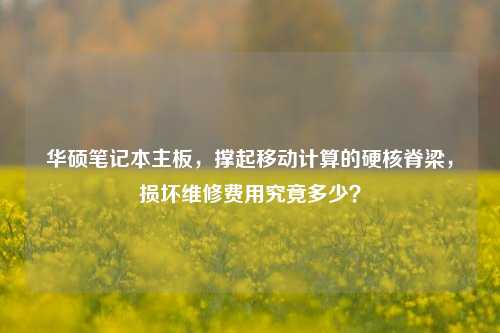 华硕笔记本主板，撑起移动计算的硬核脊梁，损坏维修费用究竟多少？