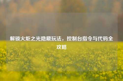 解锁火炬之光隐藏玩法,控制台指令与代码全攻略