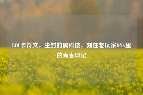 LOL卡符文，尘封的黑科技，刻在老玩家DNA里的青春印记