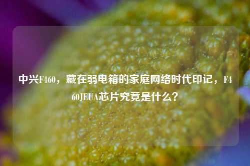 中兴F460,藏在弱电箱的家庭网络时代印记,F460JEUA芯片究竟是什么?