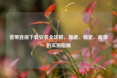 宽带连接下载安装全攻略，提速、稳定、高效的实用指南