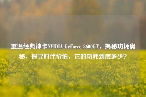 重温经典神卡NVIDIA GeForce 8600GT，揭秘功耗奥秘，探寻时代价值，它的功耗到底多少？