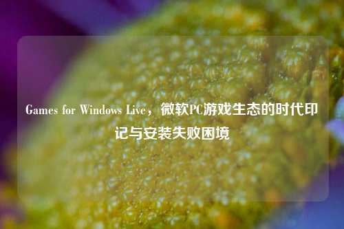Games for Windows Live，微软PC游戏生态的时代印记与安装失败困境