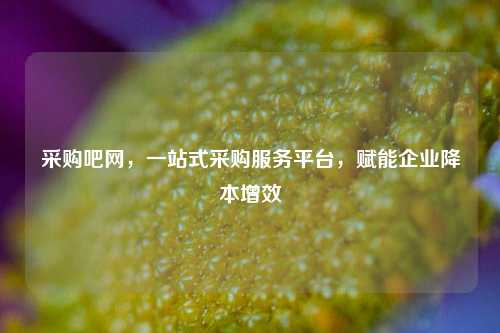 采购吧网，一站式采购服务平台，赋能企业降本增效