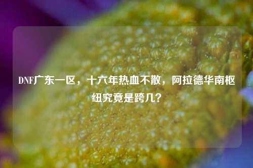 DNF广东一区,十六年热血不散,阿拉德华南枢纽究竟是跨几?