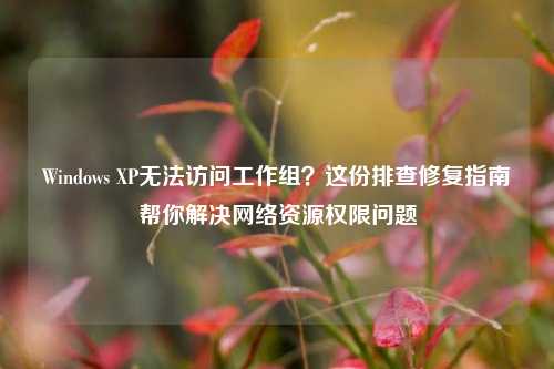 Windows XP无法访问工作组?这份排查修复指南帮你解决网络资源权限问题