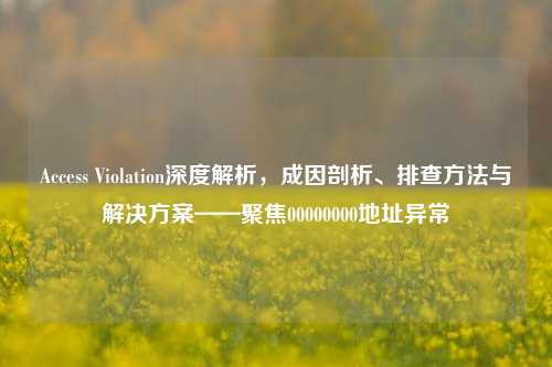 Access Violation深度解析,成因剖析、排查方法与解决方案——聚焦00000000地址异常