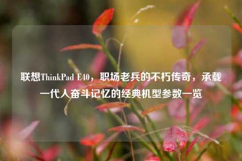 联想ThinkPad E40,职场老兵的不朽传奇,承载一代人奋斗记忆的经典机型参数一览