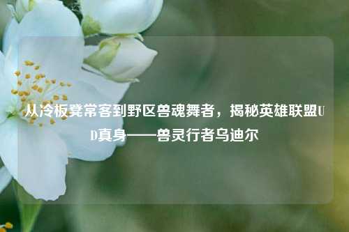 从冷板凳常客到野区兽魂舞者，揭秘英雄联盟UD真身——兽灵行者乌迪尔