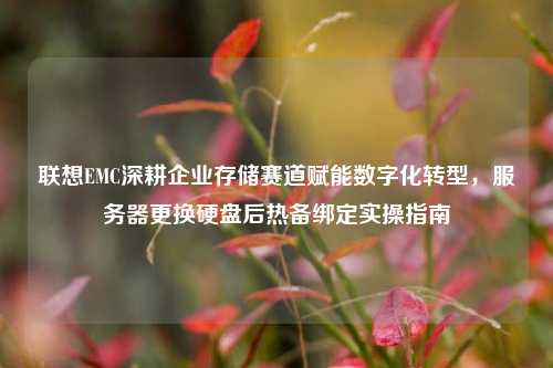联想EMC深耕企业存储赛道赋能数字化转型,服务器更换硬盘后热备绑定实操指南