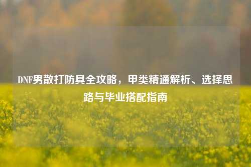 DNF男散打防具全攻略,甲类精通解析、选择思路与毕业搭配指南