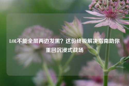 LOL不能全屏两边发黑？这份终极解决指南助你重回沉浸式战场