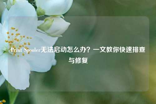 Print Spooler无法启动怎么办？一文教你快速排查与修复