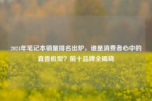 2024年笔记本销量排名出炉,谁是消费者心中的真香机型?前十品牌全揭晓