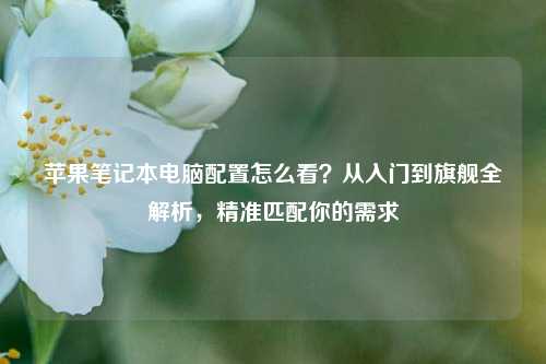 苹果笔记本电脑配置怎么看？从入门到旗舰全解析，精准匹配你的需求