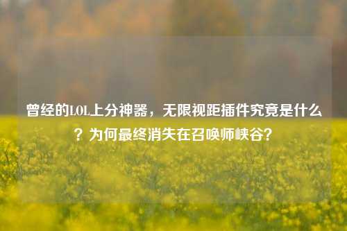 曾经的LOL上分神器，无限视距插件究竟是什么？为何最终消失在召唤师峡谷？