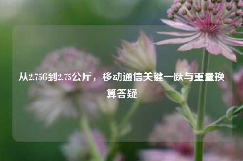 从2.75G到2.75公斤，移动通信关键一跃与重量换算答疑