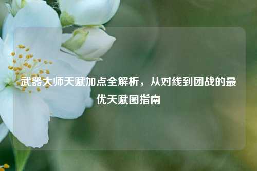 武器大师天赋加点全解析，从对线到团战的最优天赋图指南